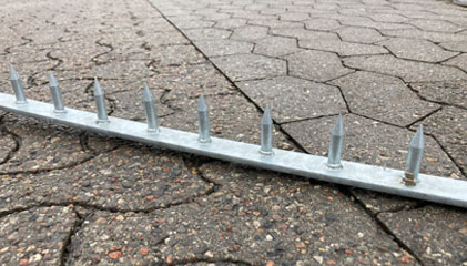 Trådhegn overligger med påsvejste pigge